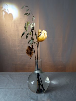 stillife II